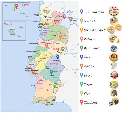 Tradition unveiled: a comprehensive review of microbiological studies on Portuguese traditional cheeses, merging conventional and OMICs analyses